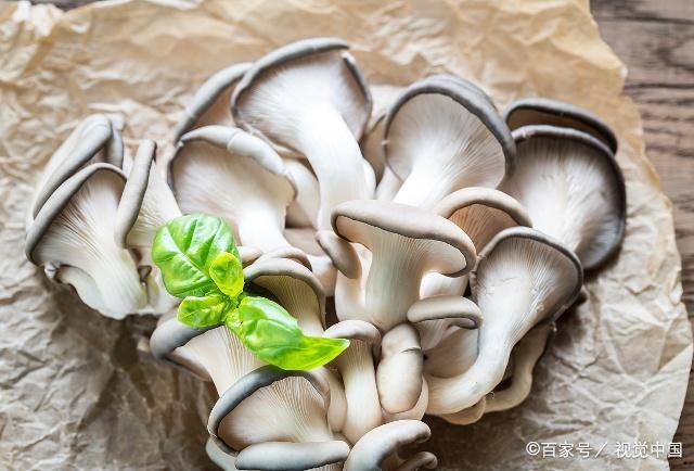 常見(jiàn)6種菌菇有什么營(yíng)養(yǎng)？
